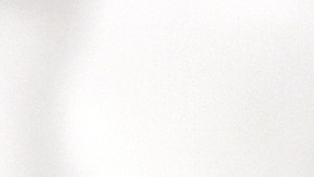 shutterstock_1099983698