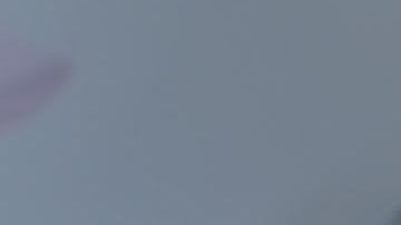 shutterstock_1126474253