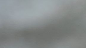 crema cicatriz