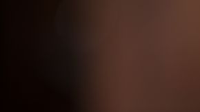 vino