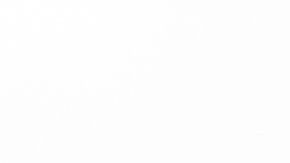 disculparse disculpas