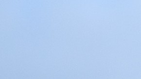 shutterstock_156731216