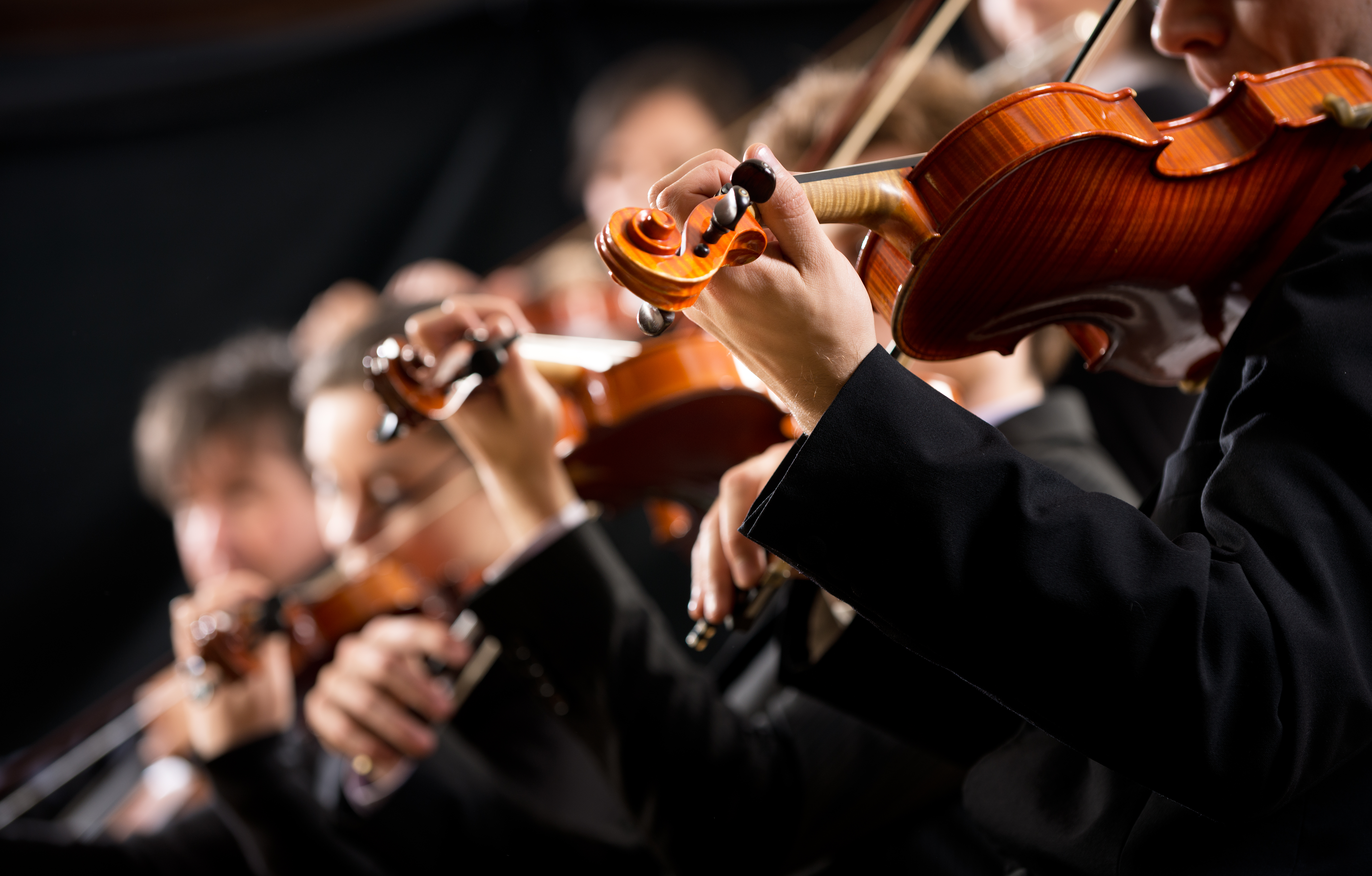 Plaza fija de profesor/a de violín, viola y orquesta de cuerda en la  Escuela Municipal de Música de Balaguer (Lleida) - Nuestras Bandas de Musica