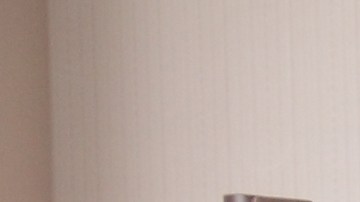 shutterstock_201882463