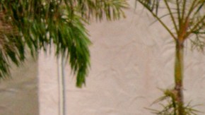 Los nuevos capítulos ya están disponibles por HBO Max.