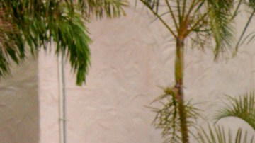 Los nuevos capítulos ya están disponibles por HBO Max.