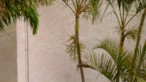 Los nuevos capítulos ya están disponibles por HBO Max.