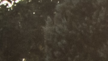 Fue en dos días diferentes y se topó con los espectros.