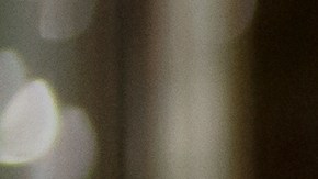 La maleta despedía un olor fétido.