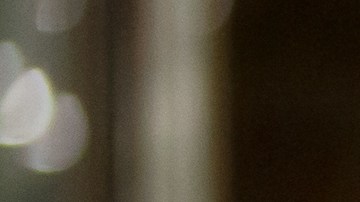 La maleta despedía un olor fétido.