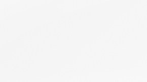 Aparentemente, el "error" del anciano fue cambiar una planta de lugar.