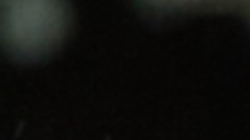 Filman a una leopardo de las nieves amamantando a sus cachorros.