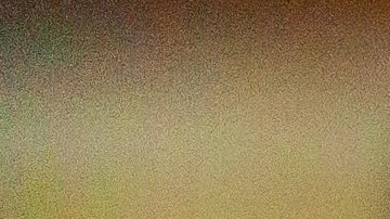 Don Carlos encontró en su gran pasión la forma perfecta para pasar la cuarentena.