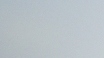 La imagen ha causado terror en Internet.