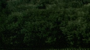 Muchos lo han tomado como una "señal" de que el covid-19 viene de otra galaxia.