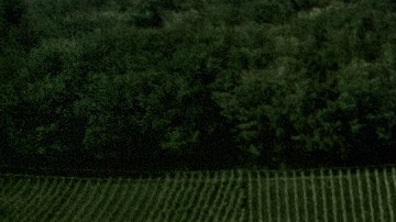 Muchos lo han tomado como una "señal" de que el covid-19 viene de otra galaxia.