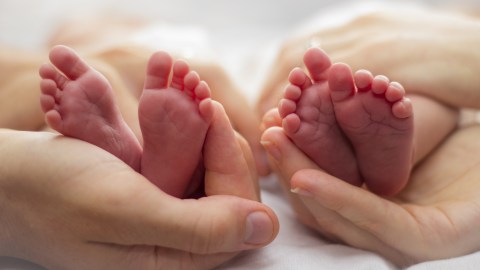 La abuela materna fue quien encontró a los bebés en completo abandono.