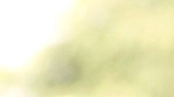 El policía terminó quitándose la vida.