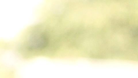 El policía terminó quitándose la vida.