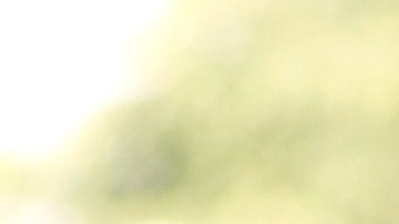 El policía terminó quitándose la vida.