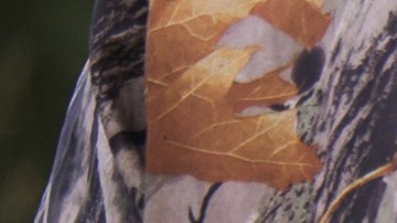 Chris McSherry creyó que el animal ya estaba muerto, pero se levantó y lo atacó con su cornamenta.