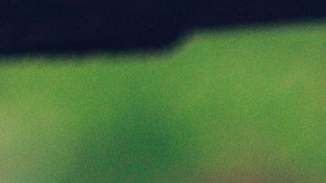 niño tímido timidez