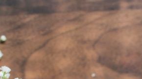 Foto; rawpixel.com/PxHere