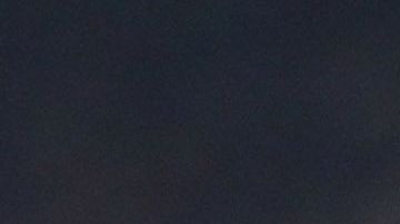 theo hernandez zoe cristofoli