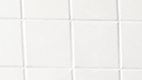 Descargar el inodoro con la tapa cerrada es lo recomendado.