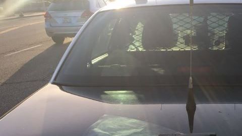 El arma y que portaba el sospechoso.