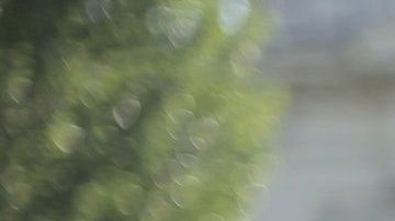 Tu fortuna puede verse favorecida con un ritual de la suerte.