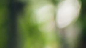 Los ritmos latinos estarán muy presentes este año.