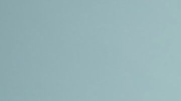 Hay signos que no les cuesta ser honestos con los demás.