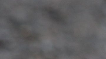 La mujer llamó a los patitos Beep, Peep y Meep, y asegura que vivirán una vida feliz.