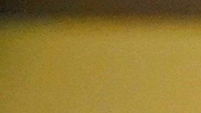 Una pareja en el parque temático de Disney en Japón.