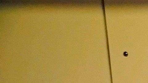 Una pareja en el parque temático de Disney en Japón.