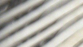 El número de gente que califique para obtener un segundo cheque de estímulo será determinante para acelerar o disminuir el tiempo de entrega.