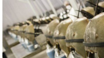 111045850_gettyimages-588158644