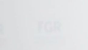 113188137_gertz_fiscal_976x549