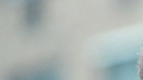 113188698_gettyimages-479802760