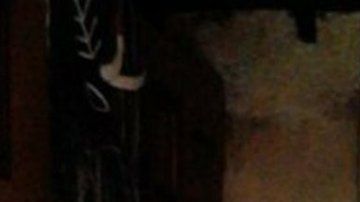 113279328_mediaitem113279327