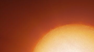 113318418_tv021770716