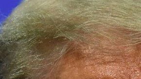 113473559_gettyimages-1226885046