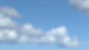 Greta Thunberg fue premiada con un millón de euros por lucha contra el cambio climático.