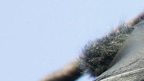 113584102_f9a73993-7026-41ce-a3b6-c72fd68b8d1d