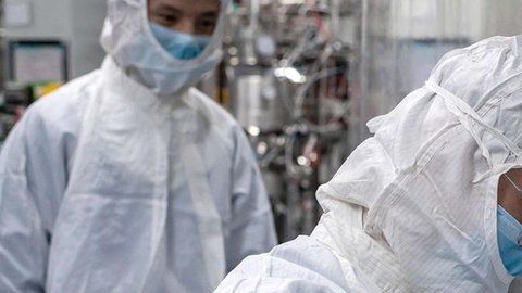 Un tipo de glóbulos blancos podrían ser cruciales en nuestra lucha contra COVID-19.