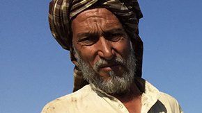 El corresponsal jefe de medio ambiente de la BBC visitó los cultivos de opio afganos.