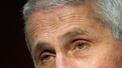 Fauci enumeró los motivos del aumento de contagios en Estados Unidos.