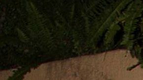 Bibi Gaytán y Eduardo Capetillo