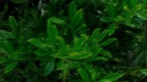 Florida ha confirmado 350,037 contagios.